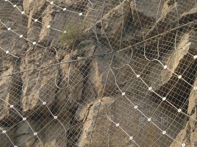 ���ӷ��o�W(w��ng)���b����