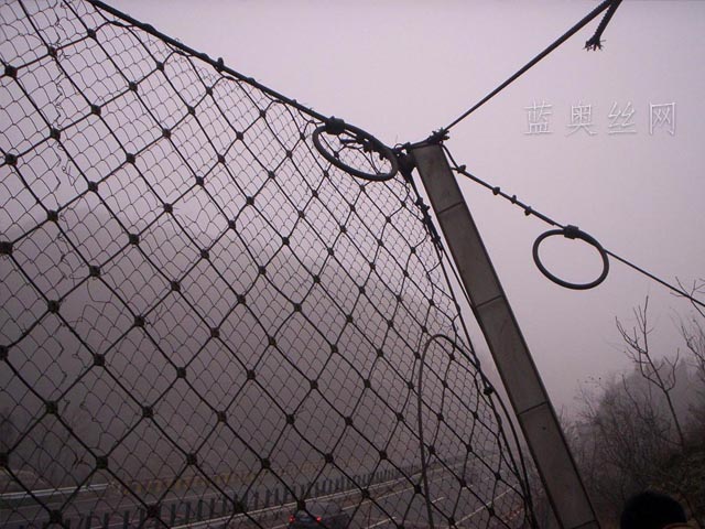 ���Է��o(h��)�W(w��ng)���