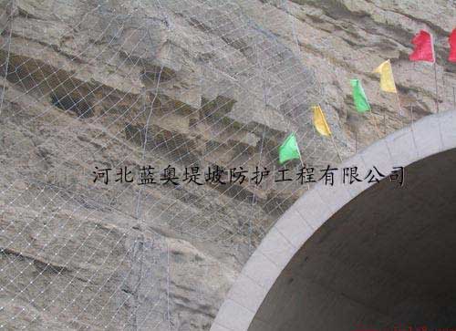 ����߅�·��o(h��)�W(w��ng)