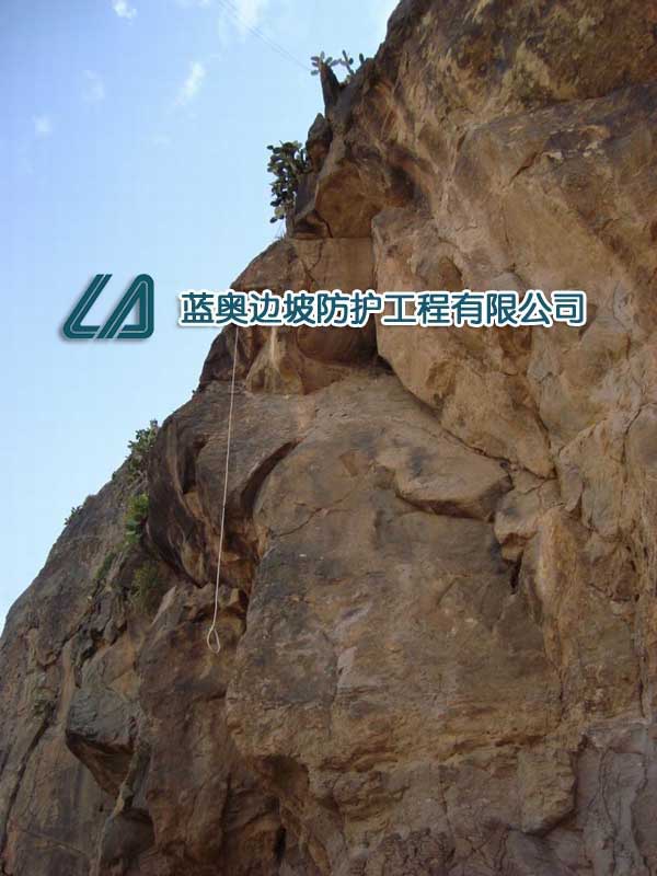 ����(d��ng)���o(h��)�W(w��ng)���b����