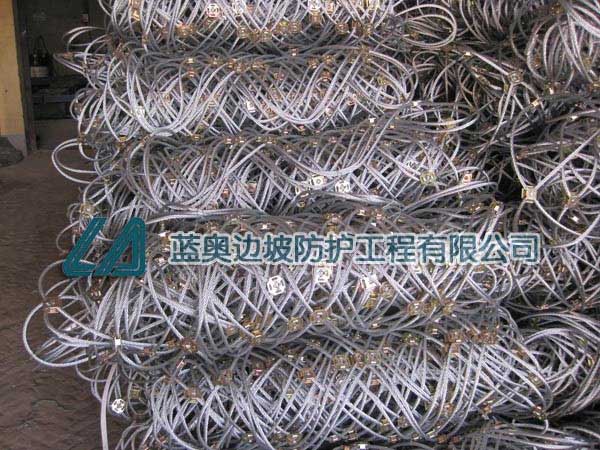 ߅�·��o(h��)�W(w��ng)���