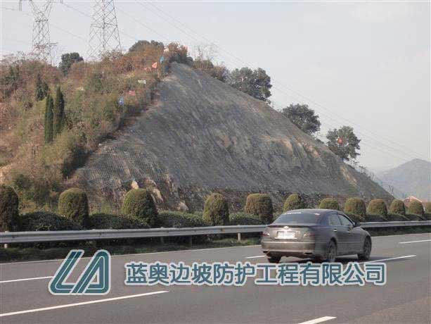 ߅�·��o(h��)�W(w��ng)�z��S�o(h��)