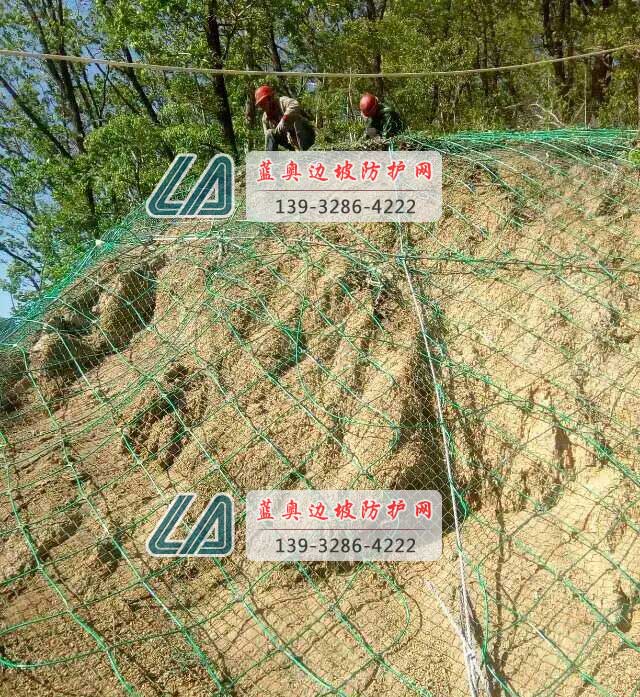 ����(d��ng)���o(h��)�W(w��ng)��������