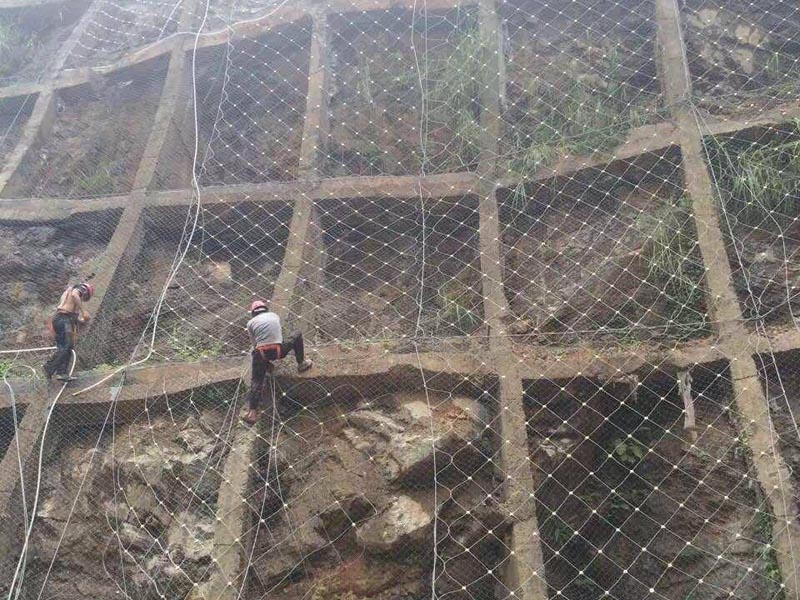 ���Ͼ��^(q��)���b߅�·��o(h��)�W(w��ng)�_(d��)���ӹ�߅�ºͱ��o(h��)ֲ����Ŀ��