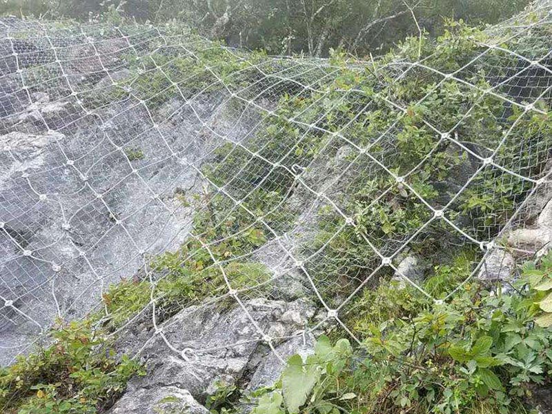 ߅�·��o(h��)�W(w��ng)��(y��ng)���������Щ�ط���Ҫ���b��