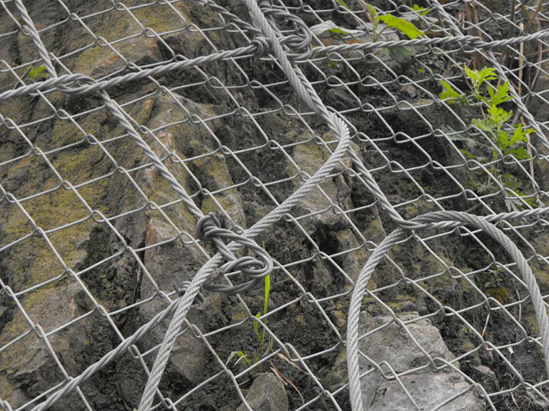 ����(d��ng)���o(h��)�W(w��ng)